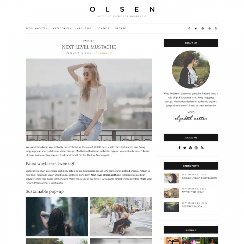 Olsen Light — Free Blogging WordPress Theme – WP.Style
