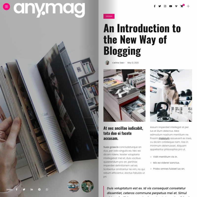 Anymag — Premium Magazine WordPress Theme